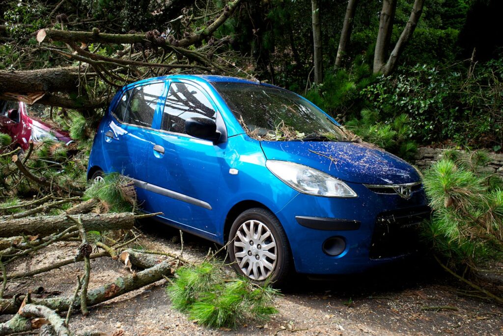 Car damaged by fallen tree after storm